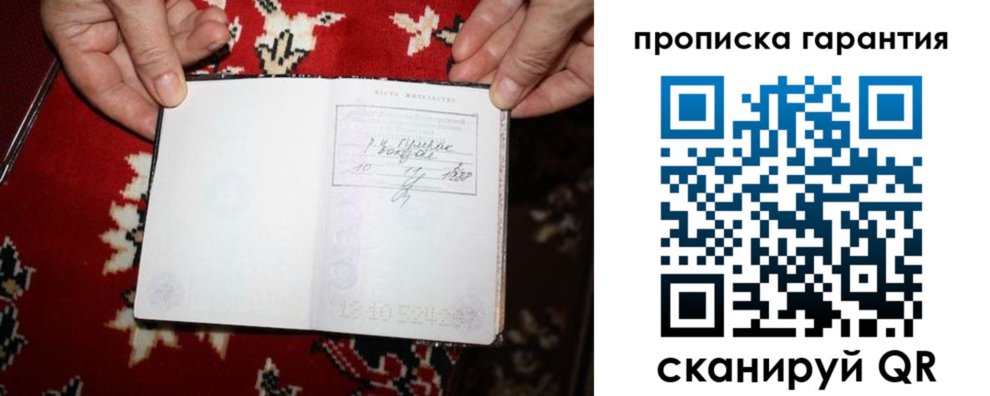 прописка гарантия в Каргате